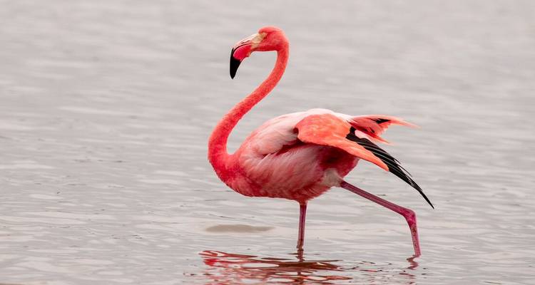 Galapagos Cruise & Peru’s Land of the Incas (Grand Daphne) - Intrepid Travel 5