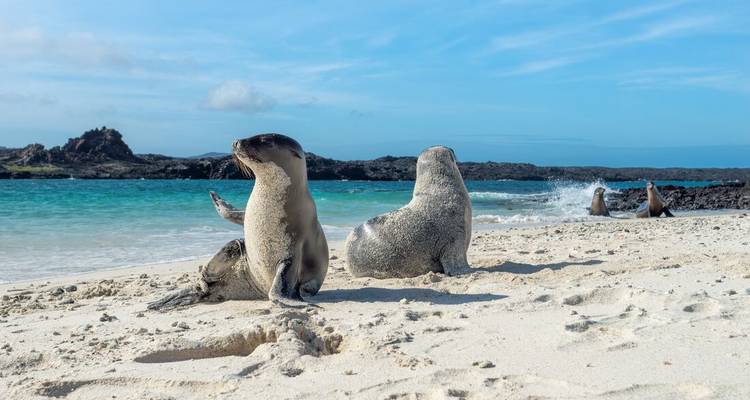 Galapagos Cruise & Peru’s Land of the Incas (Grand Daphne) - Intrepid Travel 9
