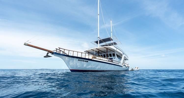 Naviguer aux Maldives - Intrepid Travel 8
