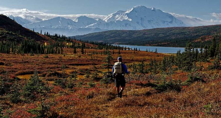 Hiking the Great Land of Alaska - Intrepid Travel 9