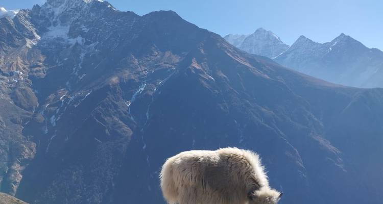 Vallée de Gokyo et camp de base de l'Everest via le col de Chola avec retour en hélicoptère - Female Guide Holiday 2