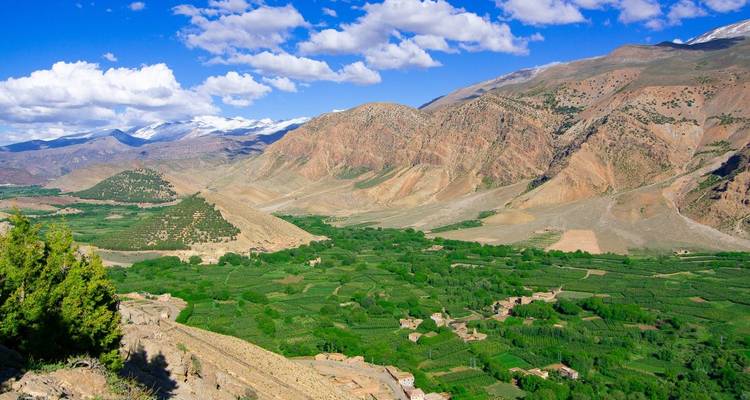 Een weelderige groene vallei omringd door bergen onder een heldere hemel.