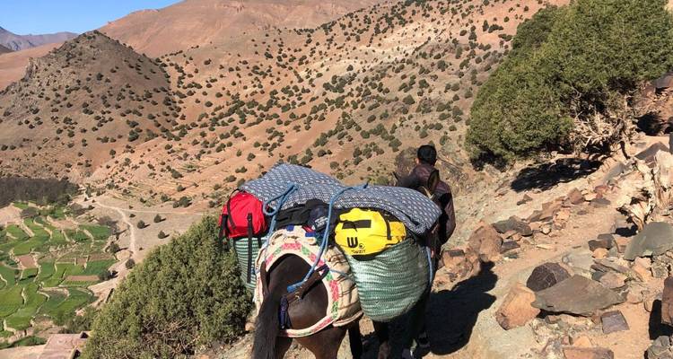 Persoon op een bepakte ezel die langs een bergpad loopt.