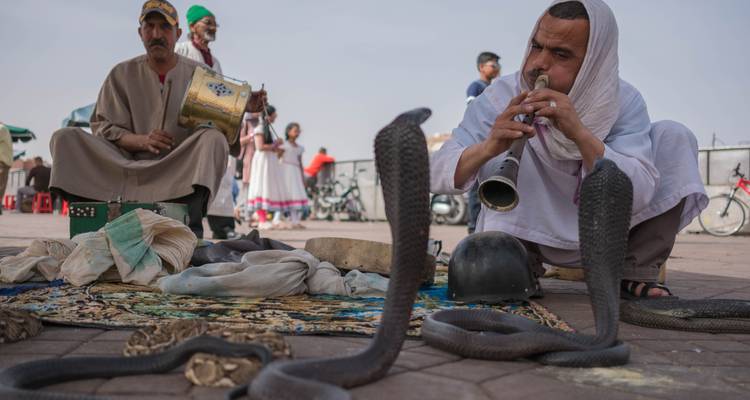 Men performing with snakes in a traditional market setting.