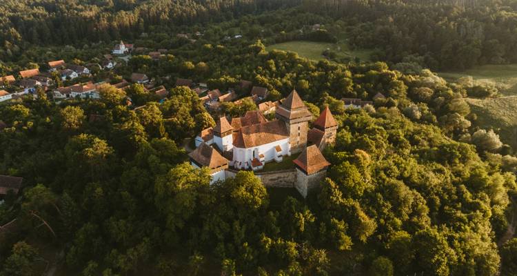Natural Therapies in the Heart of the Carpathian Mountains - Rolandia 5