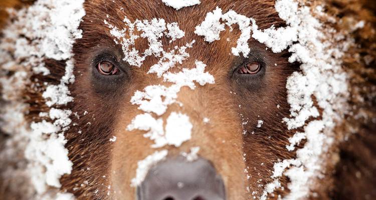 Natural Therapies in the Heart of the Carpathian Mountains - Rolandia 6