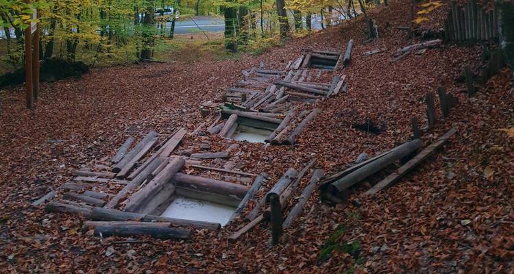 Natural Therapies in the Heart of the Carpathian Mountains - Rolandia 8