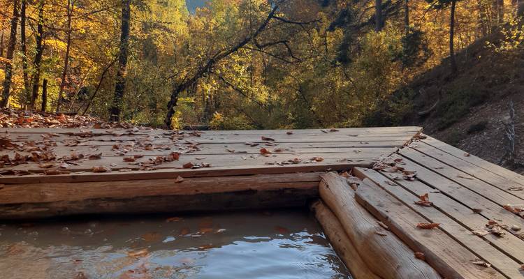 Natural Therapies in the Heart of the Carpathian Mountains - Rolandia 10