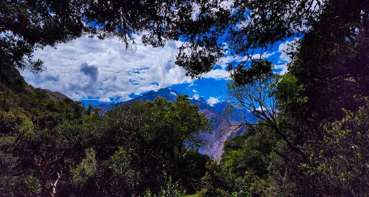 INCA TRAIL IN 2 DAYS - GROUP SERVICE - Waman Adventures 10