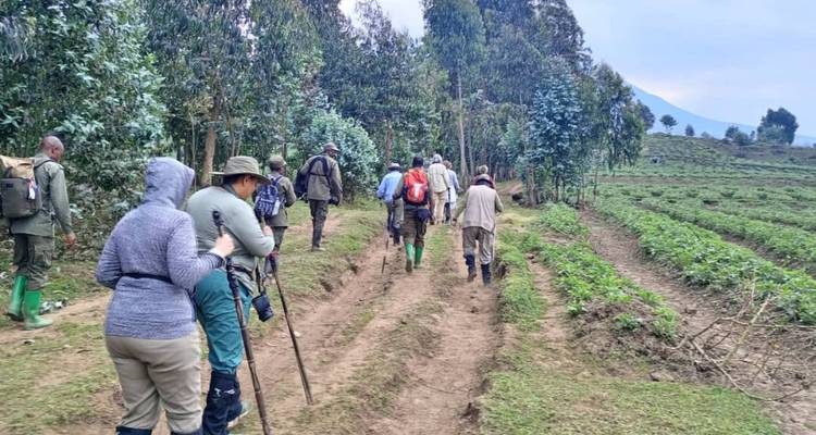 Groep wandelaars die door landbouwgrond loopt.