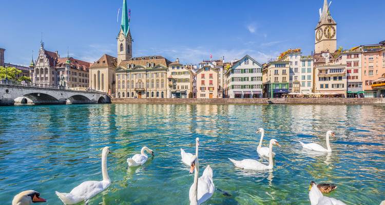 Lac rempli de cygnes avec des bâtiments traditionnels à Zurich.