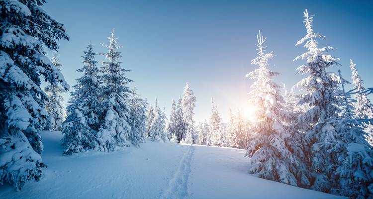 Viaje por carretera a Laponia: Luces de nieve y noches polares - journaway DACH 7