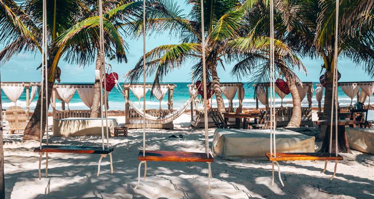 Schommels aan het strand en palmbomen op een zonnige dag.