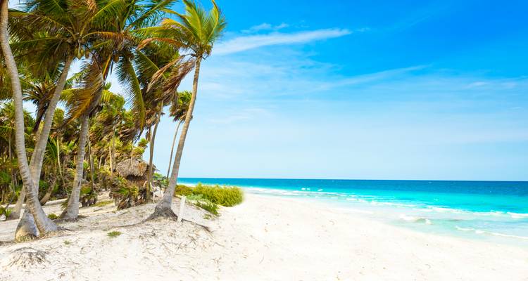 Zonnig strand met palmbomen en helder blauw water.