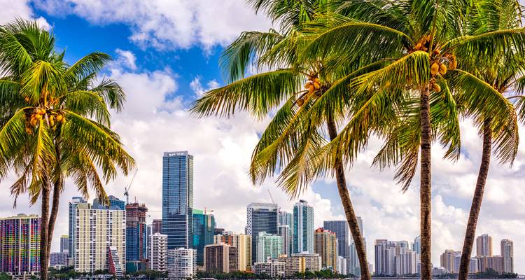 2 for 1 Mexique & Miami : Viva la Vida ! - journaway 10
