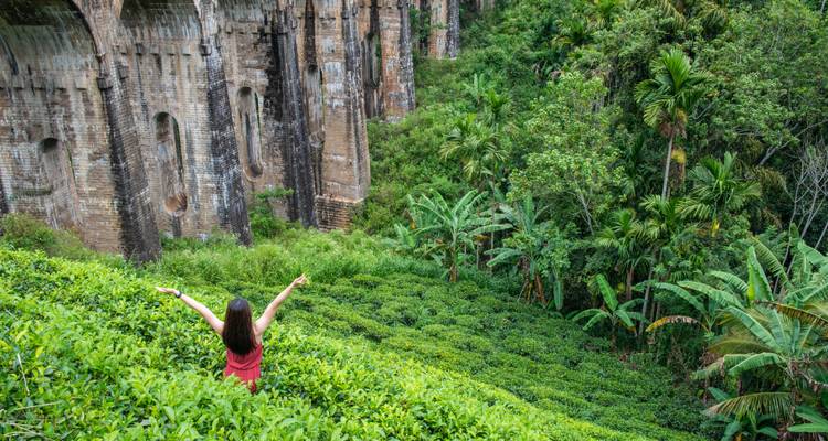 Persoon die staat voor een stenen brug over een weelderig gebied.