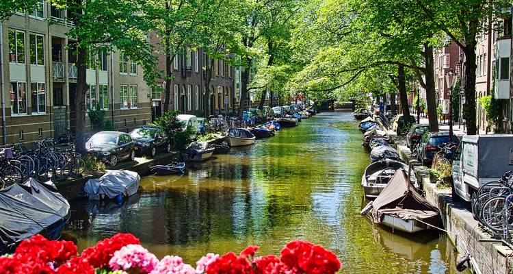 5 jours à Amsterdam, y compris Rotterdam et Giethoorn - STM Tours LLC 7