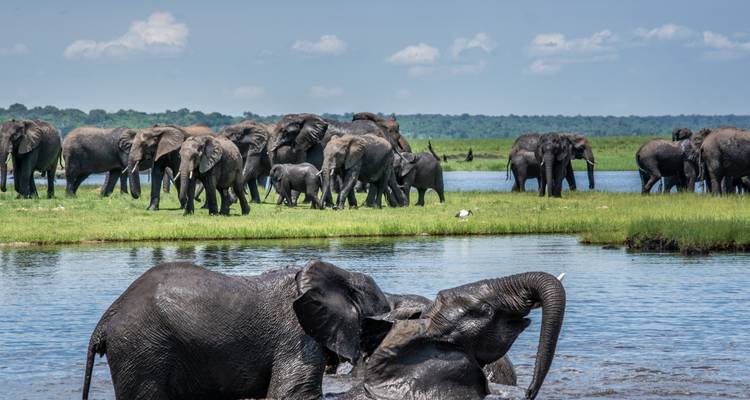 Gorilles d'Ouganda et safari au Kenya - Vol privé - T.S TOURS 7