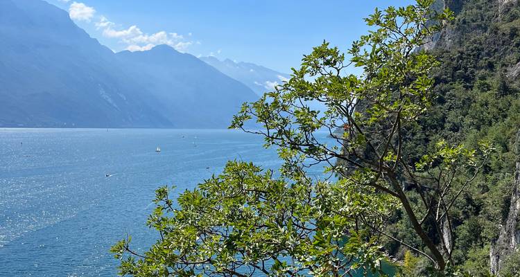 Tirol del Sur a Cinque Terre - Eurocycle Adventures 1