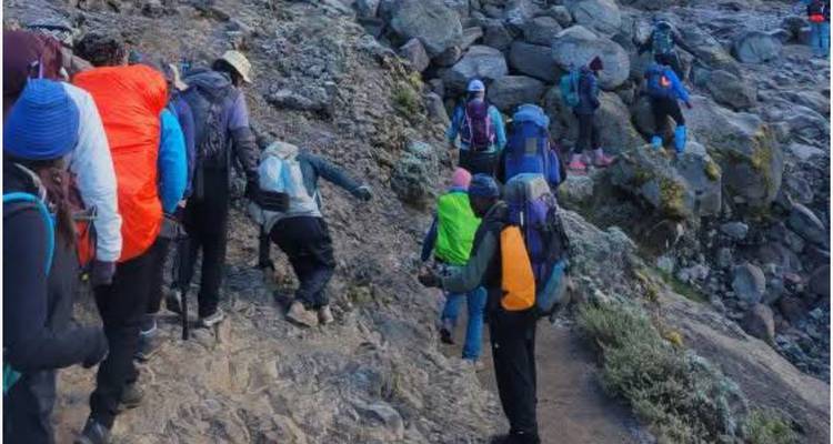 Climb Kilimanjaro - Machame Route 7 days - Devine African Safaris Ltd 3