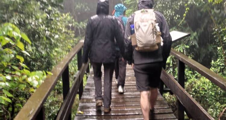 Escalada Kilimanjaro - Ruta Lemosho 7 días Salidas diarias - Devine African Safaris Ltd 2