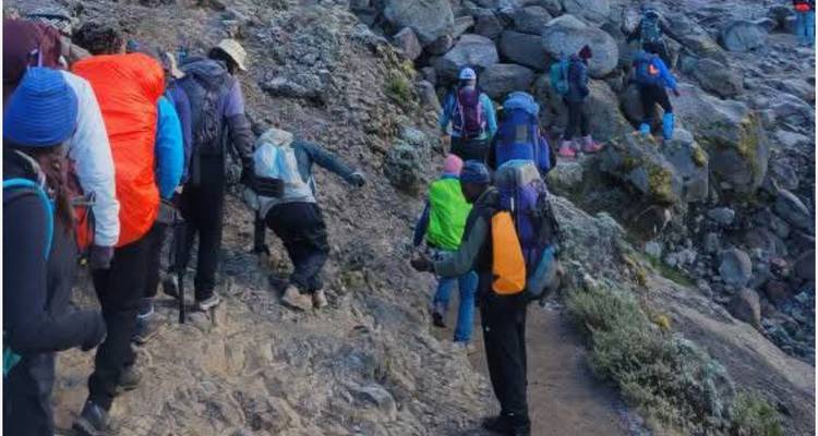 Escalada Kilimanjaro - Ruta Lemosho 7 días Salidas diarias - Devine African Safaris Ltd 3