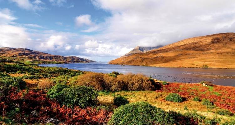 Experimenta la belleza de Irlanda - DERTOUR 7