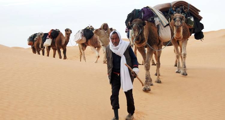 Tunisie : Tunis, Hammamet, Matmata, Chebika, Oasis de Tozeur, Kairouan, Carthage - 6 jours - Receptivo Aborigen Tours 9