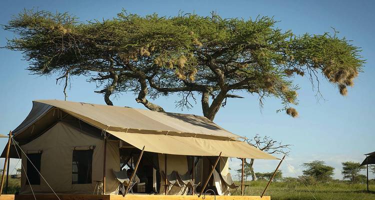 Vacaciones de 9 días en Kenia y Tanzania en un Safari Volador de Alto Nivel 2025 - CKC Tours & Travel 2