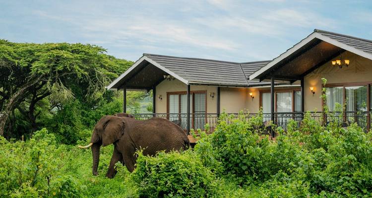 Vacaciones de 9 días en Kenia y Tanzania en un Safari Volador de Alto Nivel 2025 - CKC Tours & Travel 4