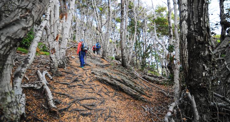 Aventura de 4 días en Ushuaia: Lo más destacado fuera de los caminos trillados - Signature DMC 9