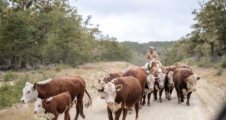 Aventura de 4 días en Ushuaia: Lo más destacado fuera de los caminos trillados - Signature DMC 2