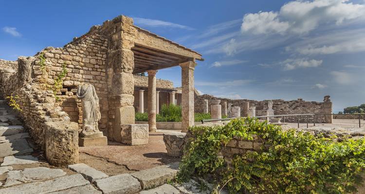 Tunisie : Hammamet, El Djem, Matmata, Douz, Tozeur, Kairouan, Tunis, Cartago et Sidi Bou Said - 12 jours - Receptivo Aborigen Tours 9