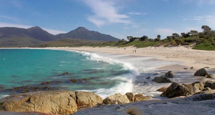 Tasmania's Wildlife - MEIERS WELTREISEN 1