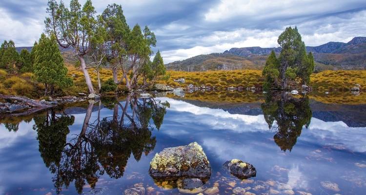 Tasmania's wilderness & Wildlife - MEIERS WELTREISEN 6