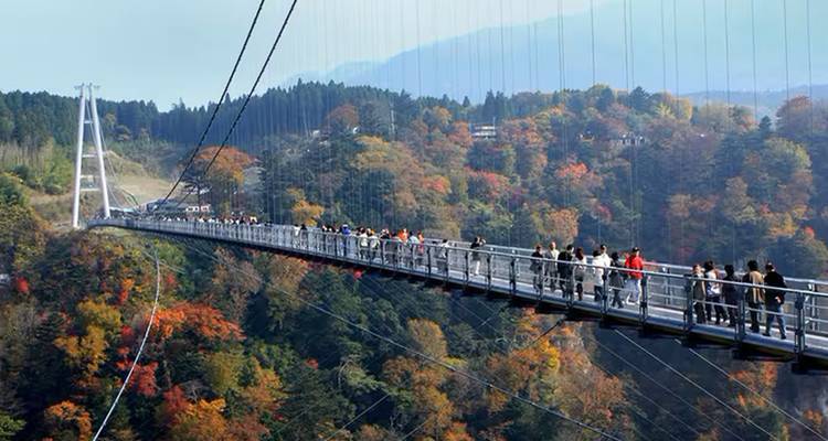 7 Day Japan's Cherry Blossom Festival（Private Guide and Driver）- Umetravel - UME Travel Co. Ltd 7