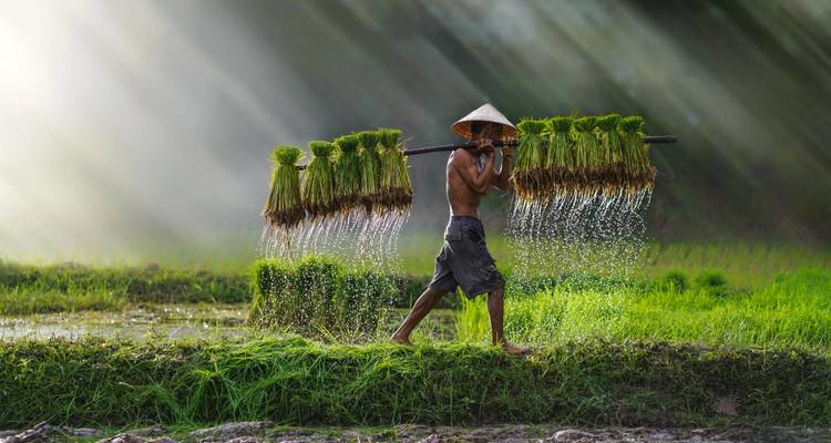 Lo más destacado de Vietnam en 11 días - Discova 8