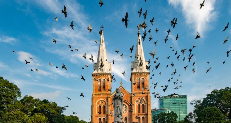 Birds flying over a historic church.