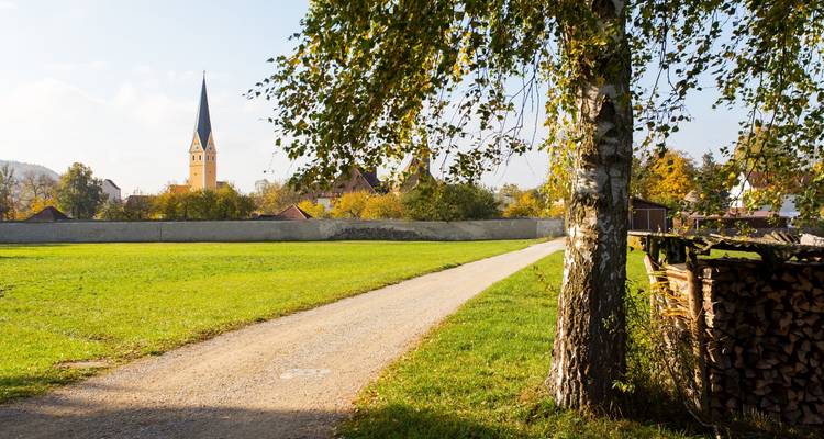 Route de campagne bordée d'arbres avec un clocher d'église au loin.