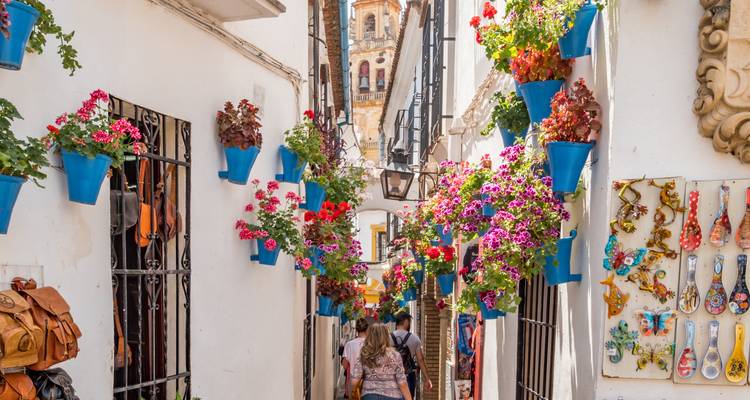 Un callejón estrecho encalado en Córdoba decorado con macetas de flores coloridas y visitantes paseando.