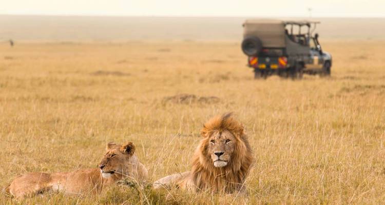 Safari en avión de alta gama de 12 días por Kenia y Tanzania 2025 - CKC Tours & Travel 6