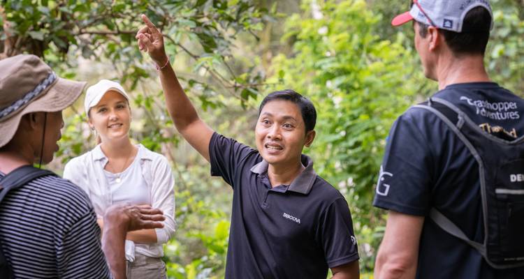 Guide explaining flora to a group in a lush natural setting.