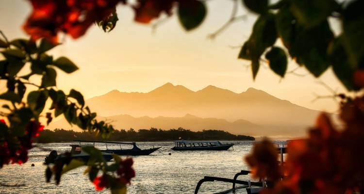 Boats on a calm sea with mountains at sunset, framed by flowers.
