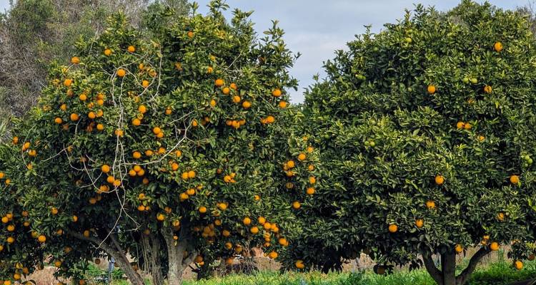Senderismo en el Algarve occidental - Be Cool 3