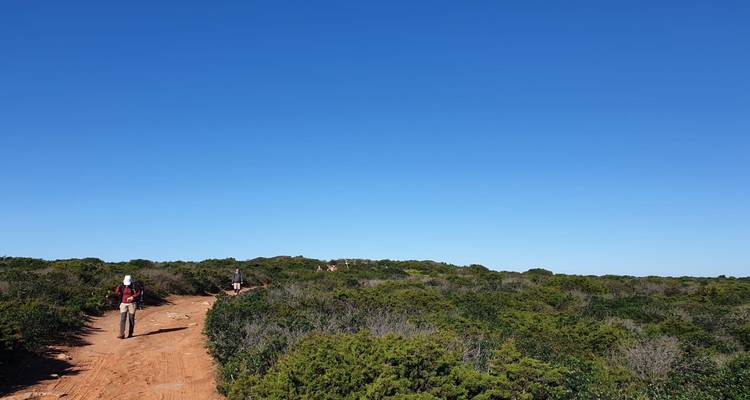 Senderismo en el Algarve occidental - Be Cool 4