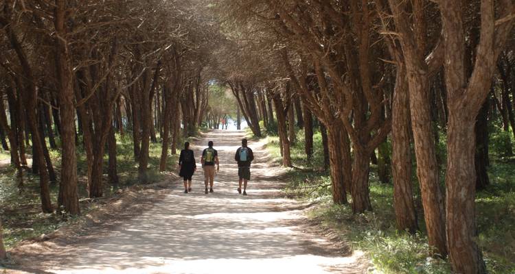 Senderismo en el Algarve occidental - Be Cool 10
