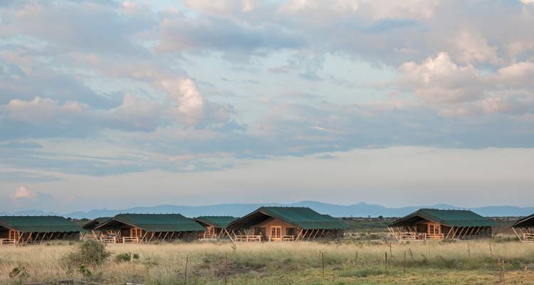10 días de Vacaciones en Safari de Lujo en Kenia - CKC Tours & Travel 3