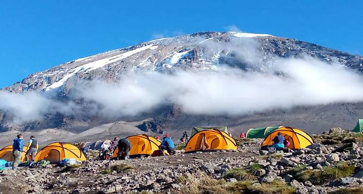 7 JOURS ROUTE DU LEMOSHO - Almighty Kilimanjaro 4