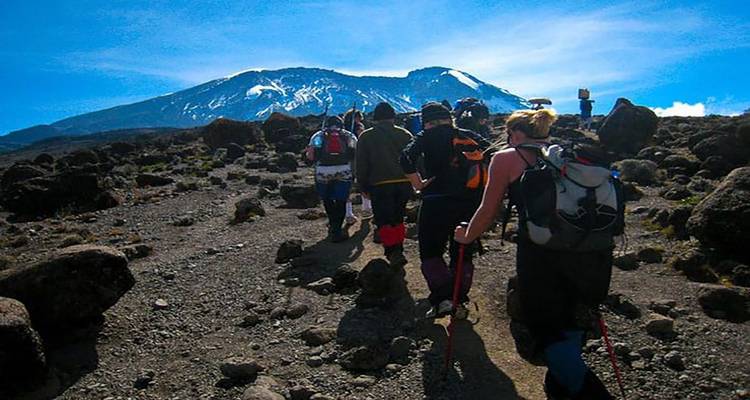 7 JOURS ROUTE DU LEMOSHO - Almighty Kilimanjaro 6
