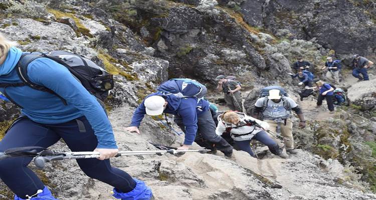 7 JOURS ROUTE DU LEMOSHO - Almighty Kilimanjaro 7